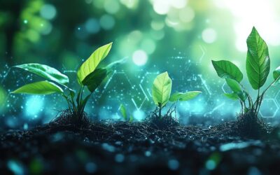 Dendrit Haustechnik-Software GmbH erhält Status „Carbon Neutral“ für das Geschäftsjahr 2023