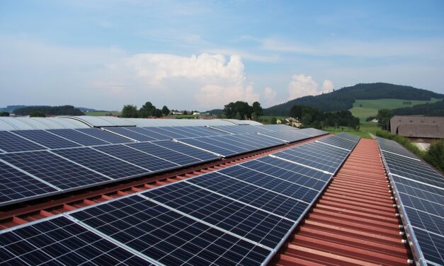 Trendwende geschafft: Österreichs Solarwärme-Markt wächst wieder