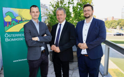 Biomasse-Strategie für mehr Krisenresilienz