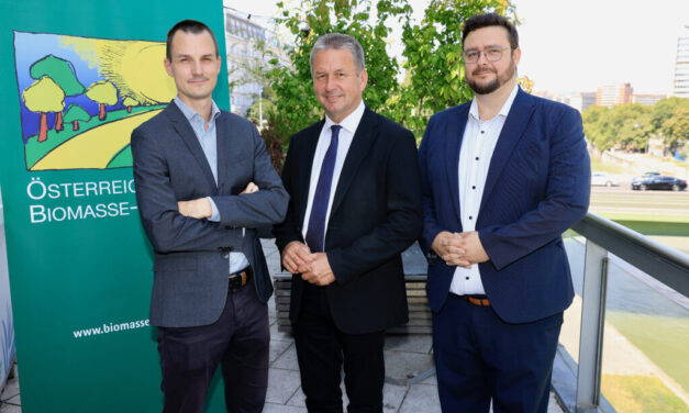 Biomasse-Strategie für mehr Krisenresilienz