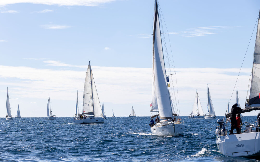 ISZ Cup 2025: Segeln, Teamgeist und Spannung auf hoher See