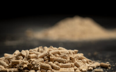 Energiehandel Kreuzmayr startet mit neuem revolutionärem Produkt durch