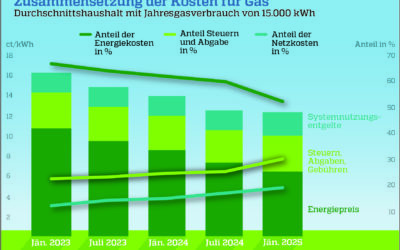 Gaspreise in Österreich: Steuern steigen stark – Netzentgelte bleiben kleiner Anteil