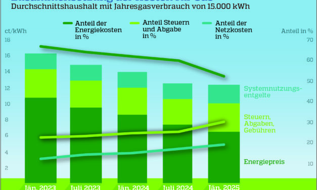 Gaspreise in Österreich: Steuern steigen stark – Netzentgelte bleiben kleiner Anteil