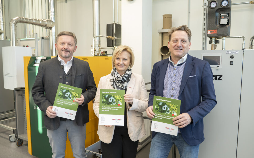 CO2-Vergleich von Heizsystemen: Pellets und Wärmepumpe weit voraus