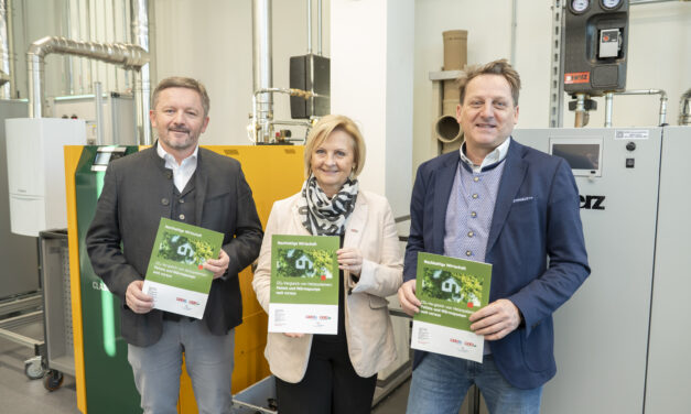 CO2-Vergleich von Heizsystemen: Pellets und Wärmepumpe weit voraus