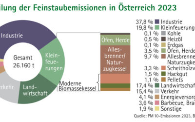Studie: Holzheizungen könnten Feinstaub bis 2050 deutlich senken
