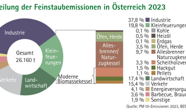 Studie: Holzheizungen könnten Feinstaub bis 2050 deutlich senken