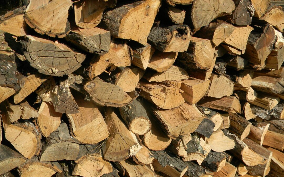 Branche fordert mehr Fördermittel für Heizungstausch