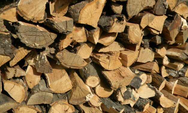 Branche fordert mehr Fördermittel für Heizungstausch