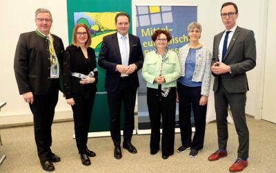 Biomassestrategie in Begutachtung