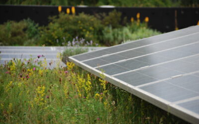 Neue ÖNORM B 1131: Begrünung wird Teil des Bauens