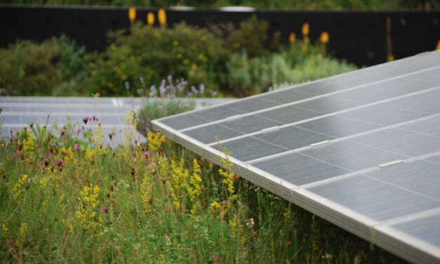 Neue ÖNORM B 1131: Begrünung wird Teil des Bauens