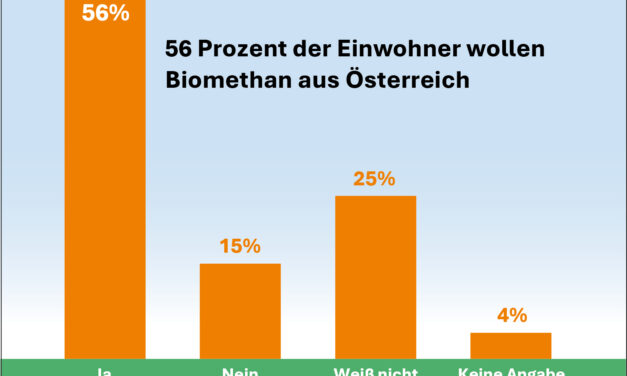 Umfrage: Mehrheit will mehr heimisches Gas und Biogas