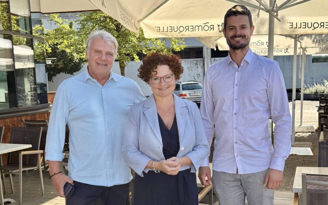 PV-Förderung: Zehetner kündigt Reform bis Oktober an