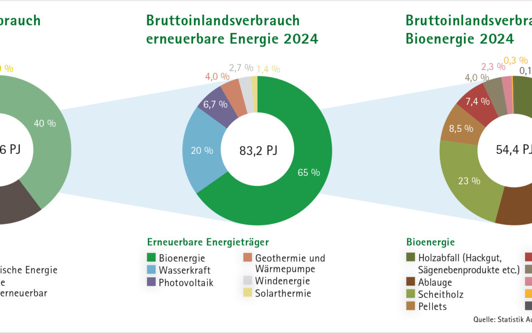 Steiermark übertrifft Ökostrom-Ziel für 2030 bereits im Juni