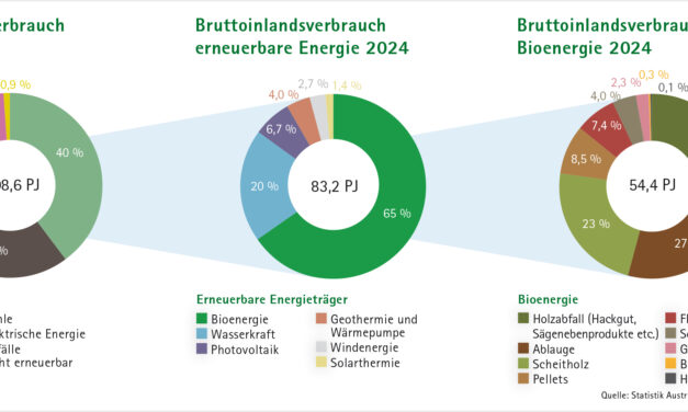 Steiermark übertrifft Ökostrom-Ziel für 2030 bereits im Juni