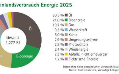 Bioenergie überholt Erdgas in Österreich