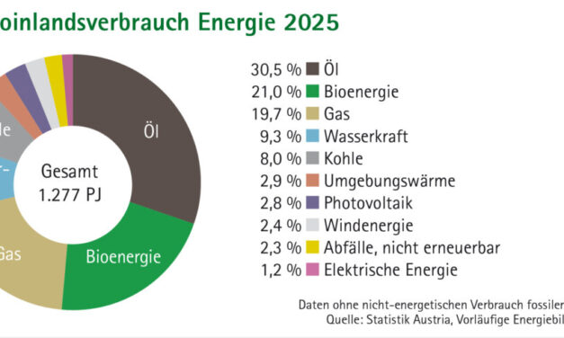 Bioenergie überholt Erdgas in Österreich