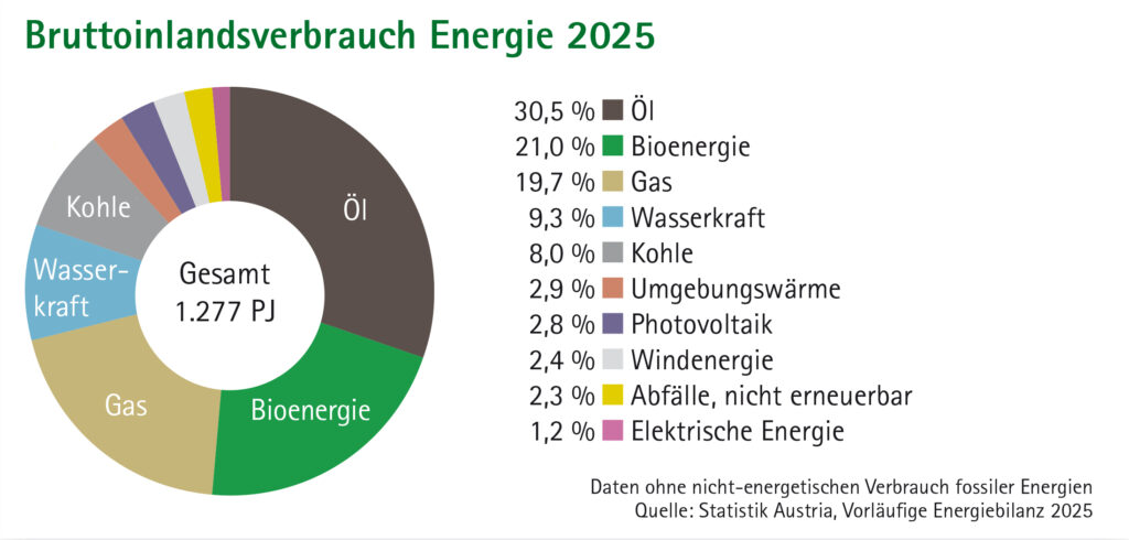 Bioenergie überholt Erdgas in Österreich