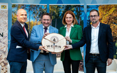 Steiermark gründet europäisches Netzwerk für Holzenergie
