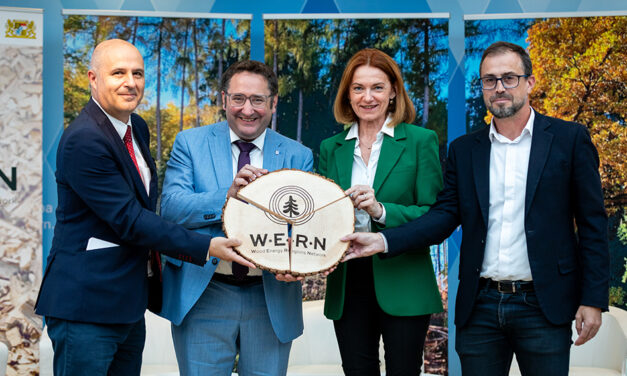 Steiermark gründet europäisches Netzwerk für Holzenergie