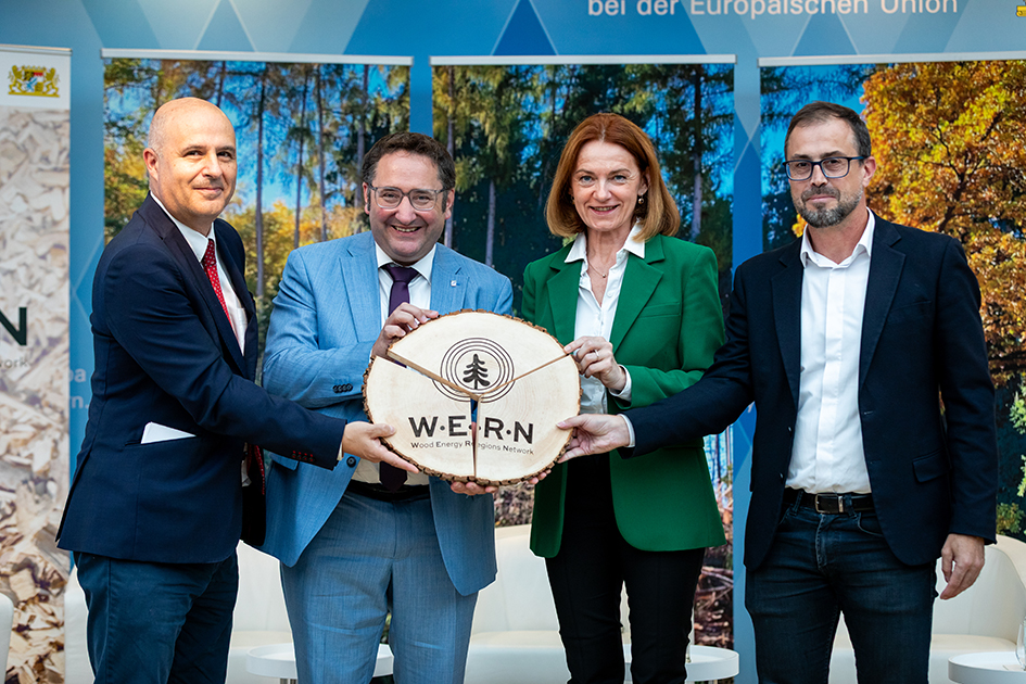 Steiermark gründet europäisches Netzwerk für Holzenergie
