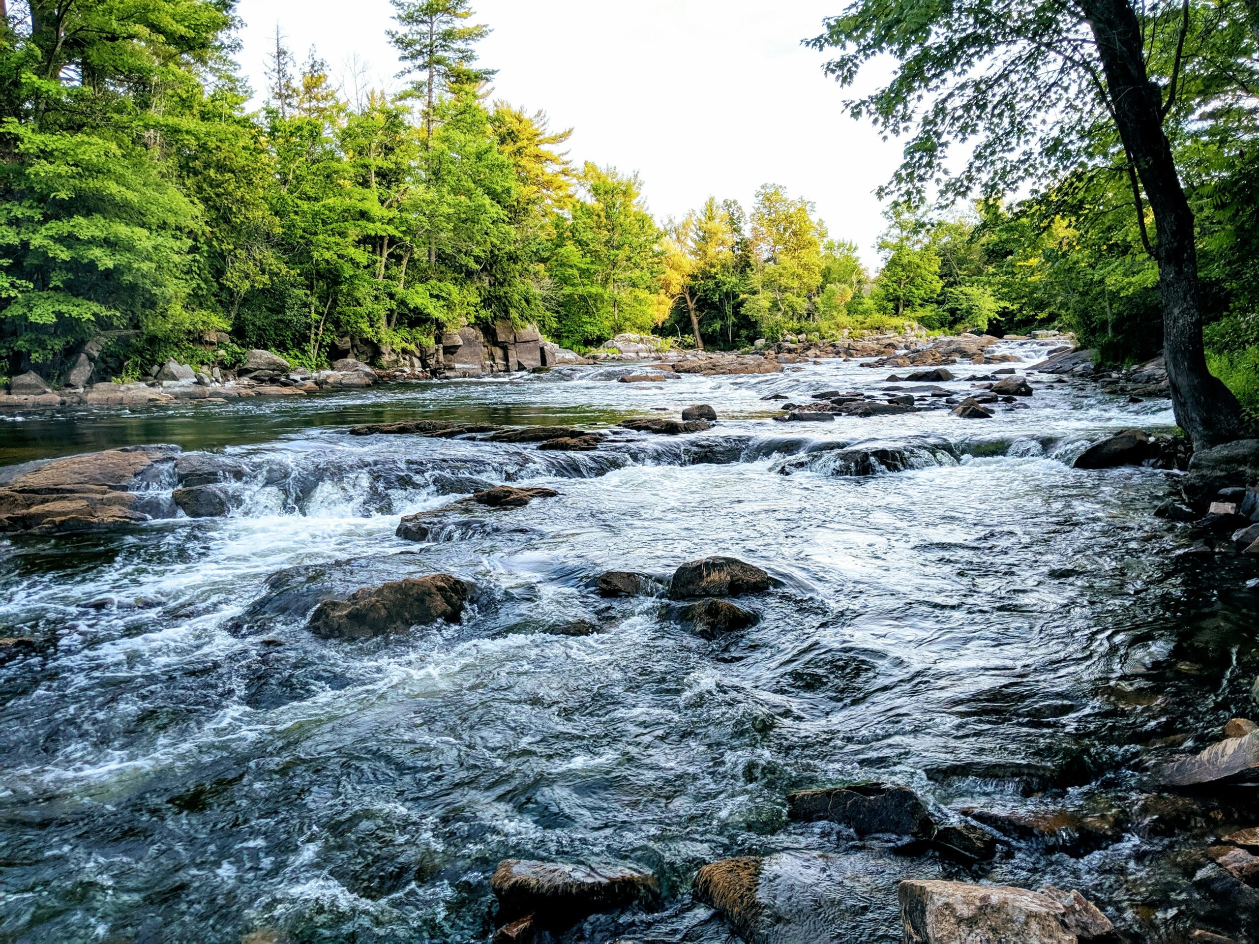 mark-mcgregor-qutNazk9dpk-unsplash