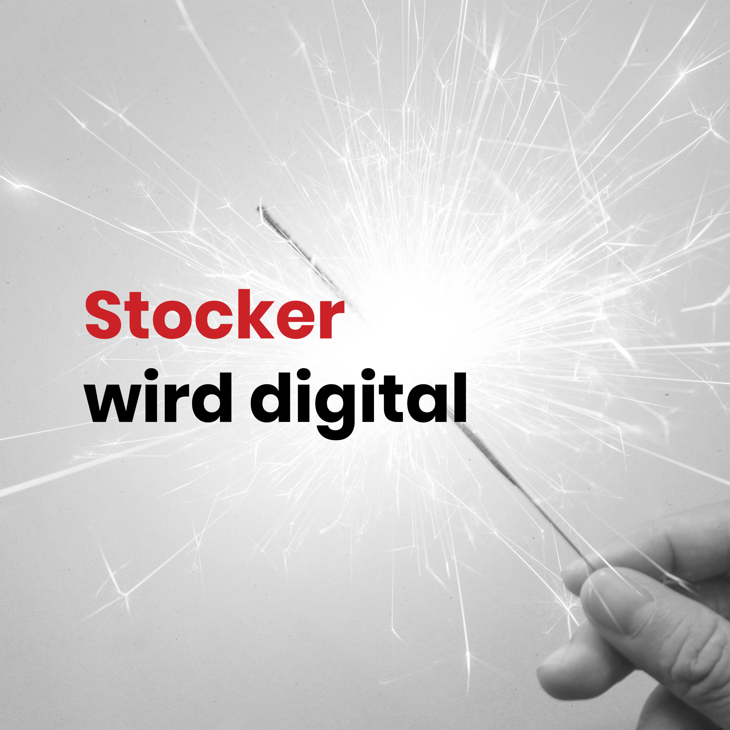 Stocker Kaminsysteme