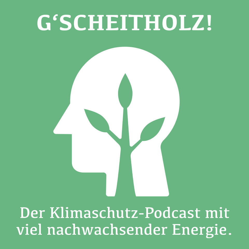 Sehr g’scheit