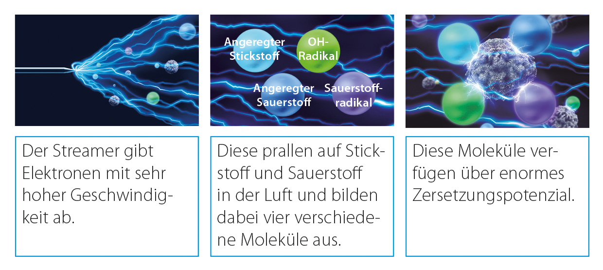 Dem Virus den Garaus machen