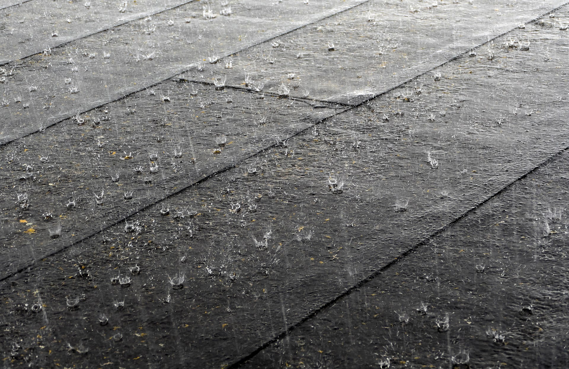 Schutz vorm Sauwetter