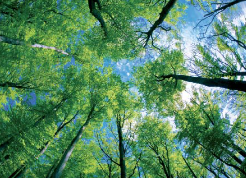 Klimafitte Gebäude