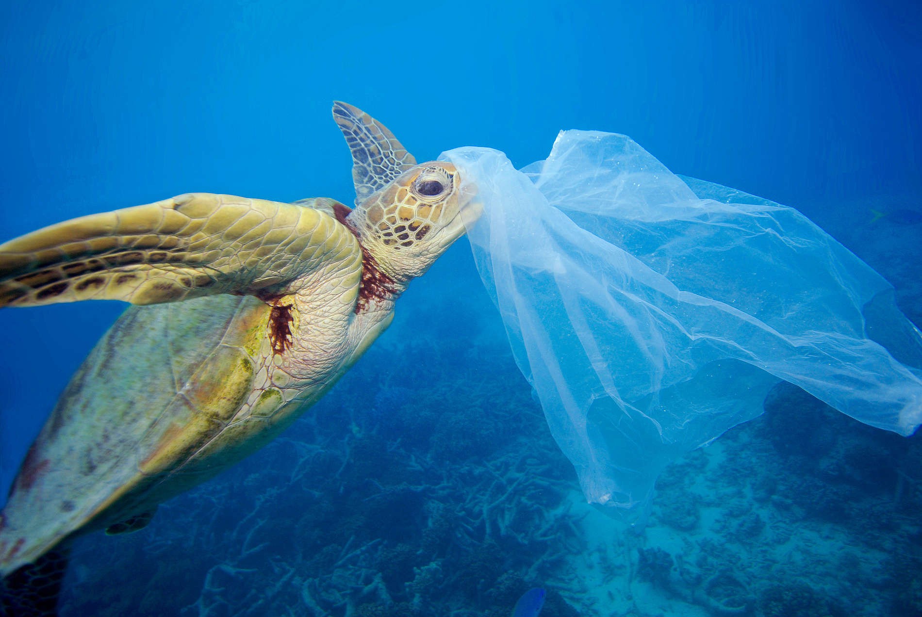 Kampf dem Plastik