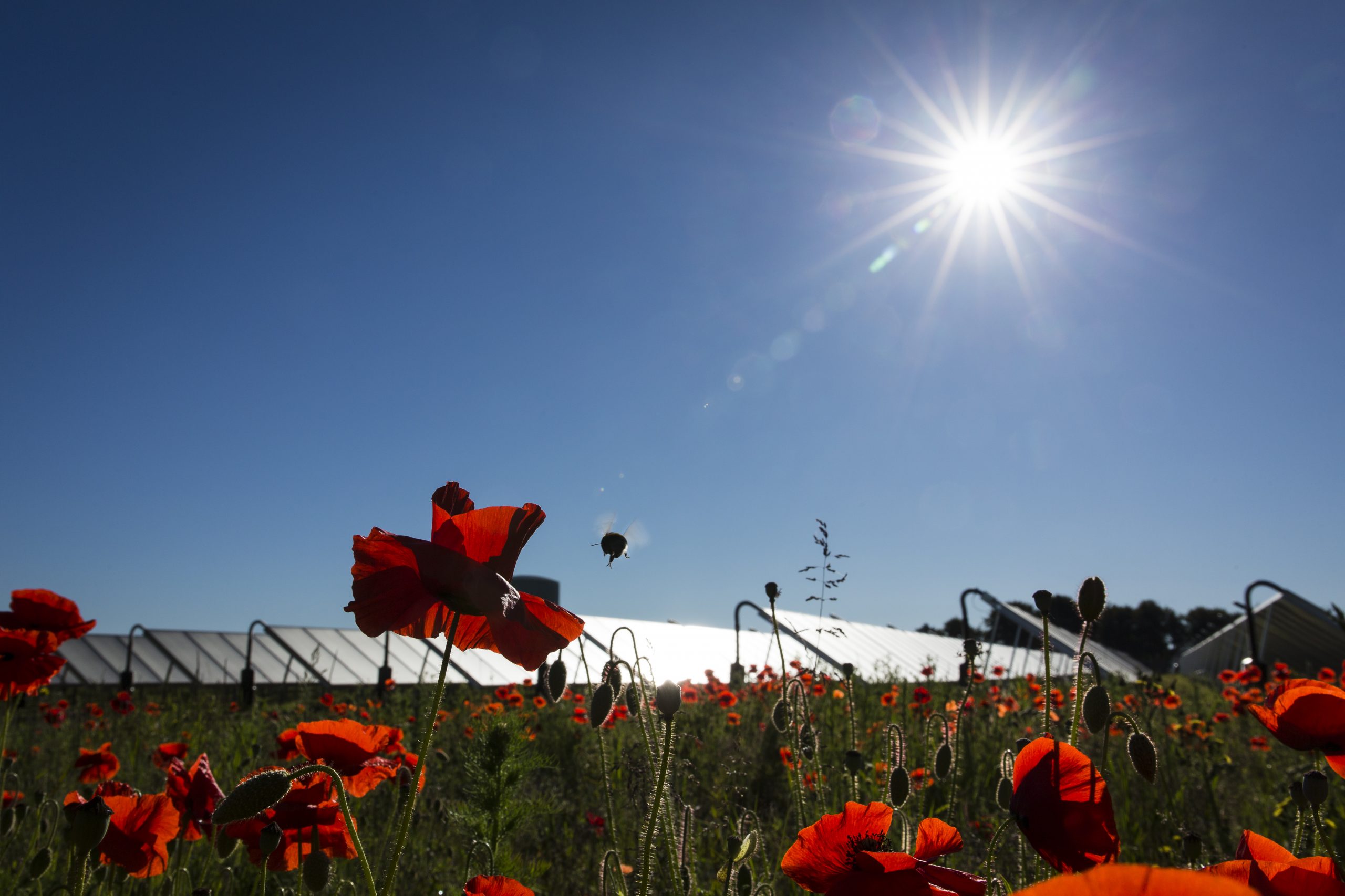 Klimaschutz und Solarenergie im Abseits
