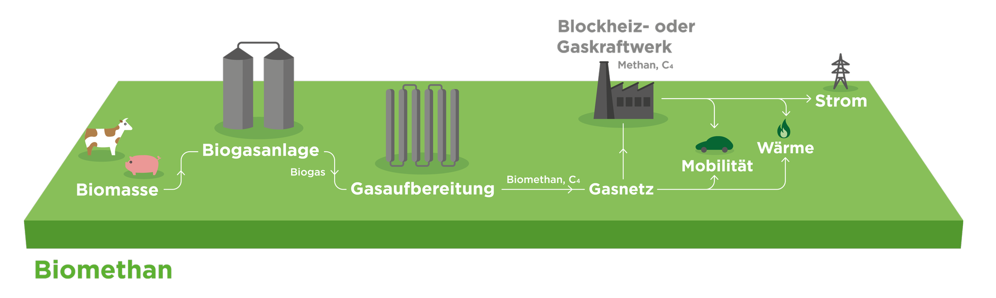 Hoffnungsträger Grünes Gas