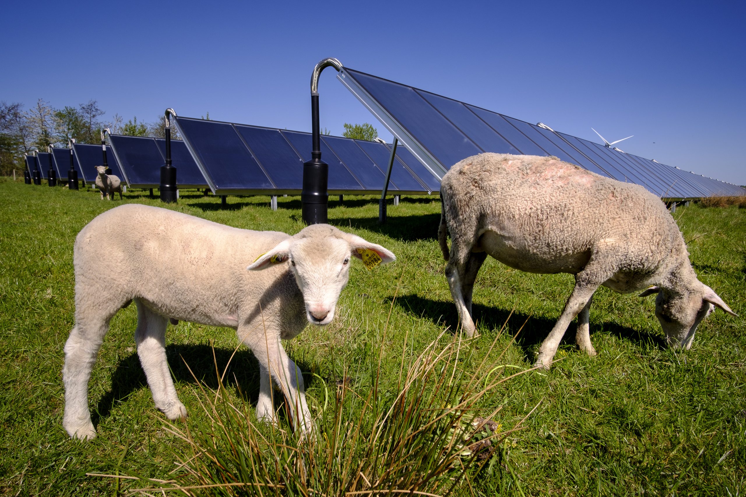 Bundesländer hinken bei Solarwärme-Ausbau hinterher