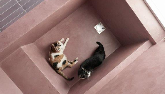 Ritmonio-Armaturen für The Meishan Cat House in Taipei