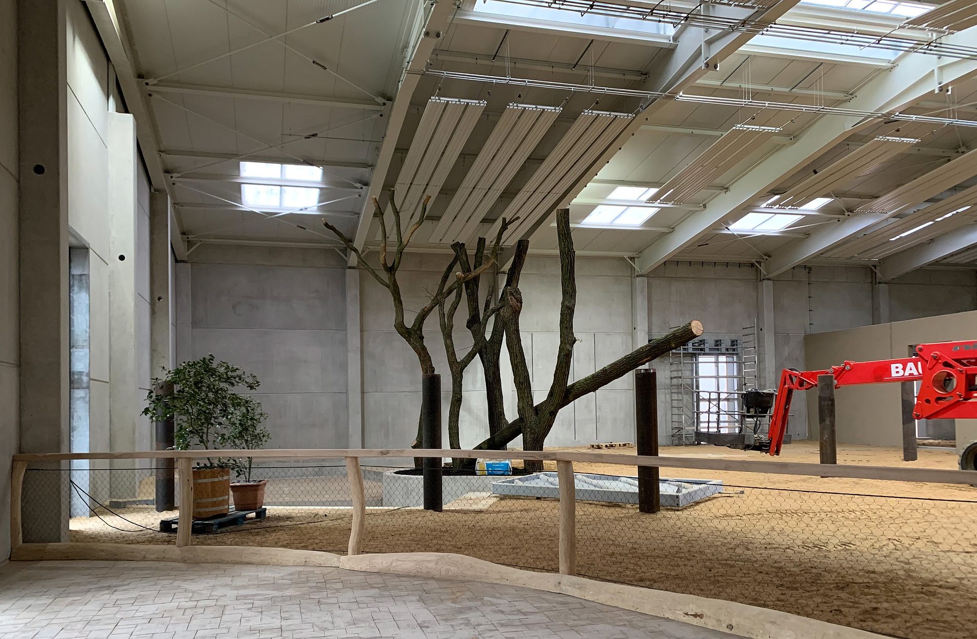 Neues Elefantenhaus im Tierpark Cottbus – hier kommt die Wärme von oben