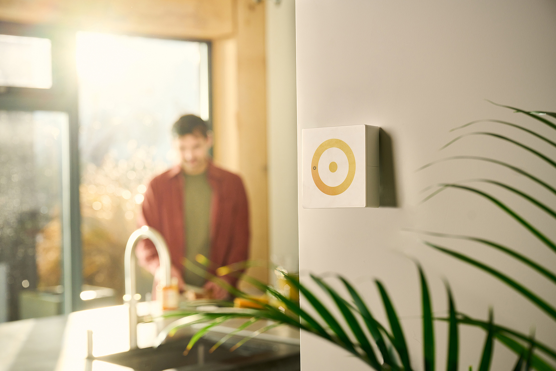 Photovoltaik 2.0: Soly, der erste digitale Photovoltaik-2.0 Anbieter, startet in Österreich durch
