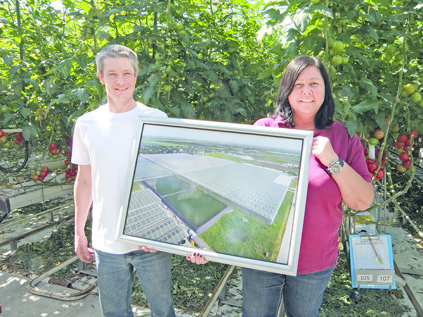 Heizung für junges Gemüse